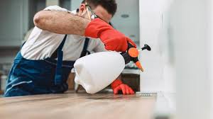 Best Residential Pest Control  in Fairmount, CO